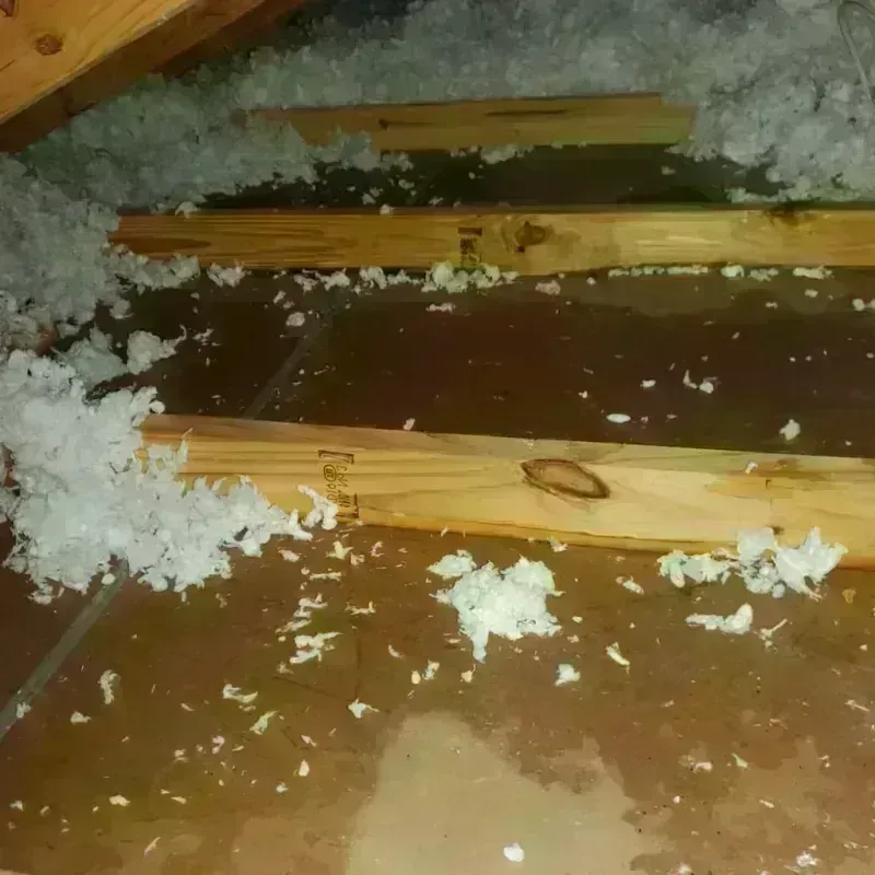 Attic Water Damage in Marysville, WA