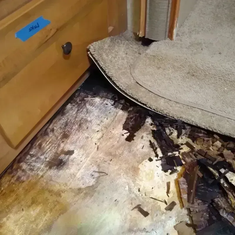 Wood Floor Water Damage in Marysville, WA